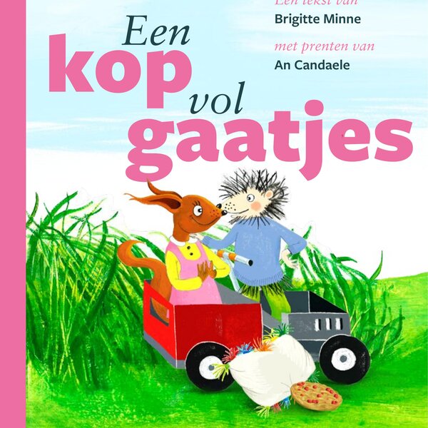 Brigitte Minne - Kop vol gaatjes prentenboek