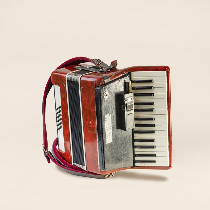 Accordeon Wim Opbrouck